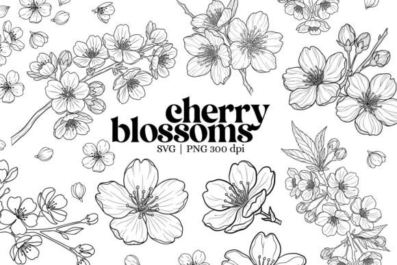 Botanical Cherry Blossom Outline Clipart: Spring's Elegant Design Asset