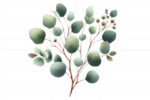 Eucalyptus Clipart: Watercolor Greenery for Designers